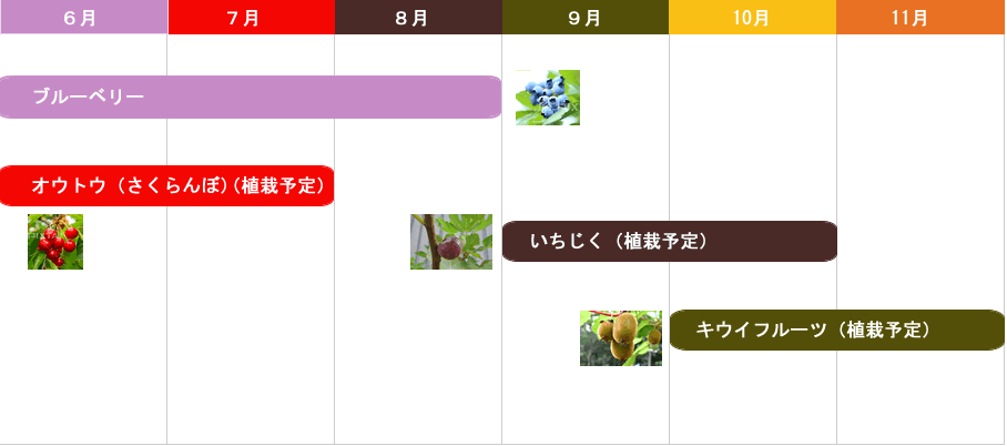 摘み取りカレンダー